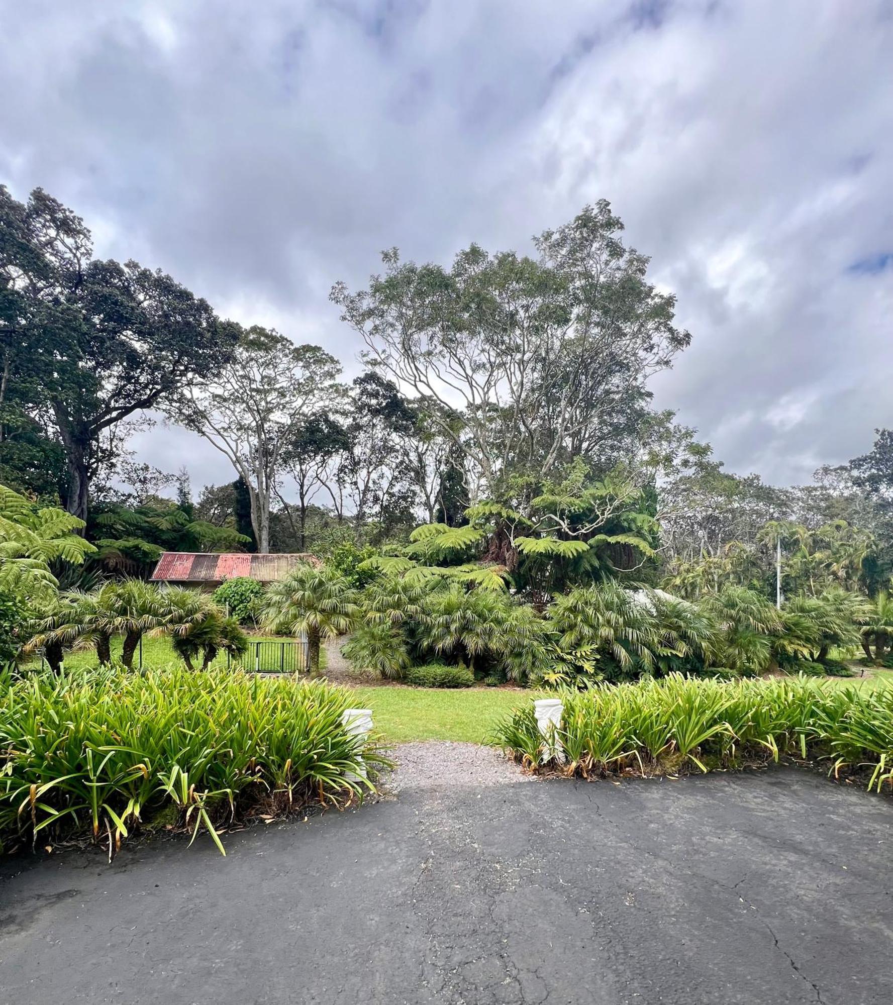 Aloha Junction Bed And Breakfast -Minutes Away From Hawaii Volcanoes National Park Exterior foto